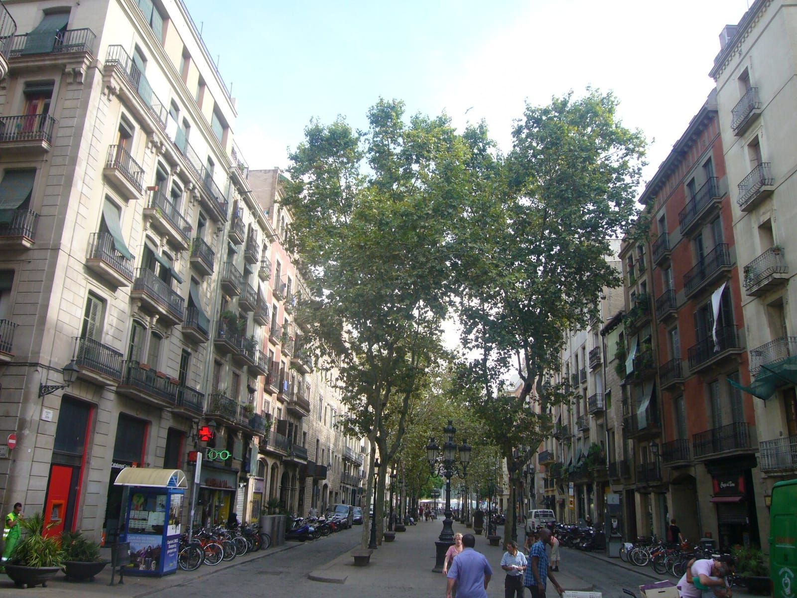 El Passeig del Born, con árboles y fachadas antiguas